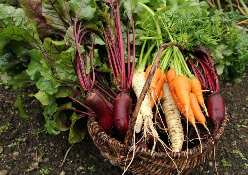 June is a great planting month in Seattle!
.
We created a June gardening checkli...