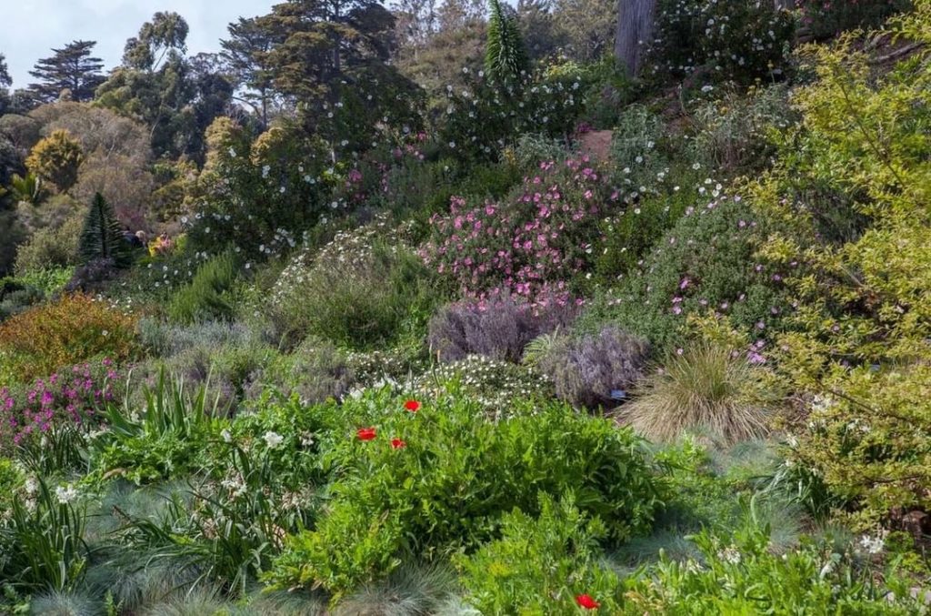 Are you exploring any botanical gardens this weekend?
.
Here's a view of the Med...