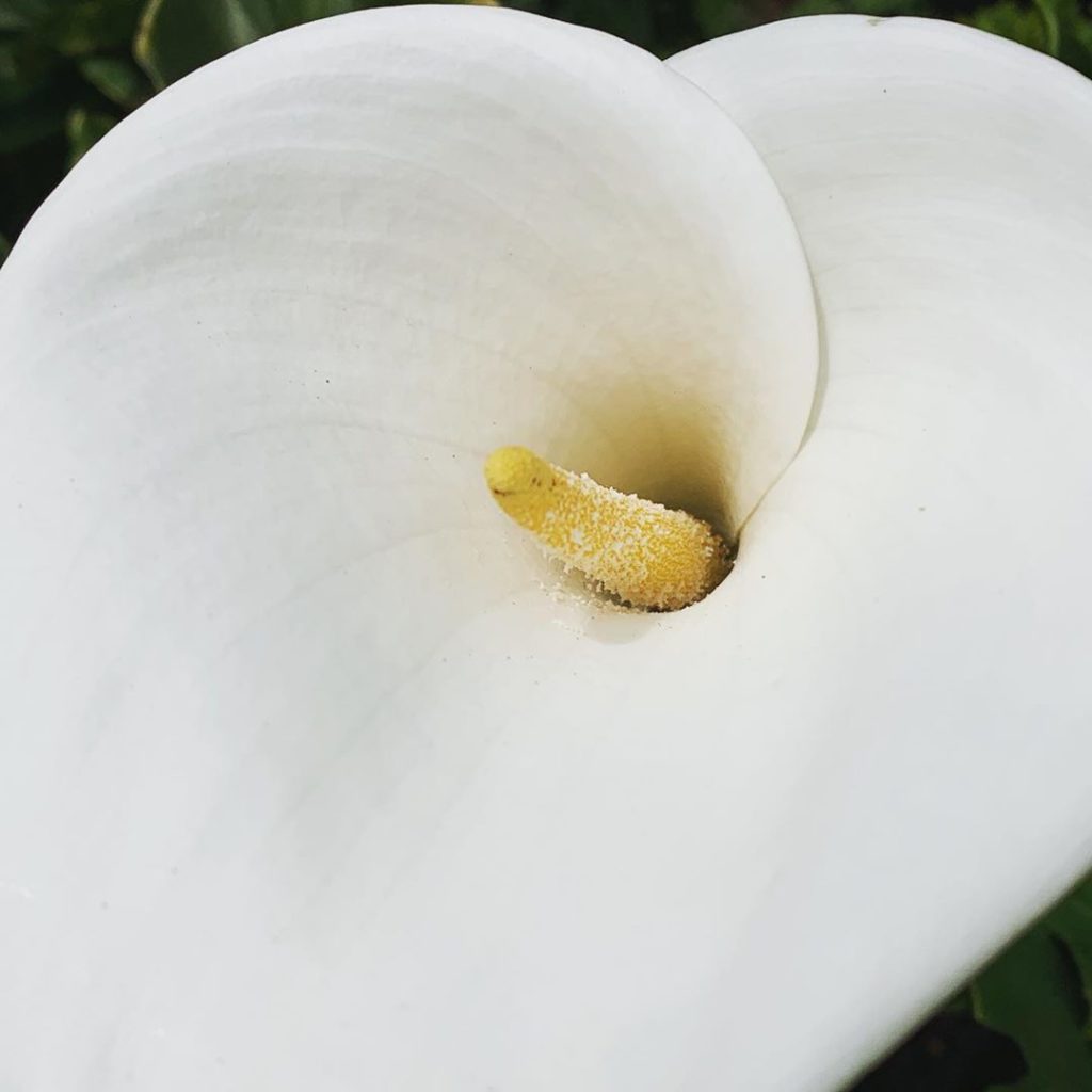 Getting over the midweek hump (even though it is a short week) with a little bit...