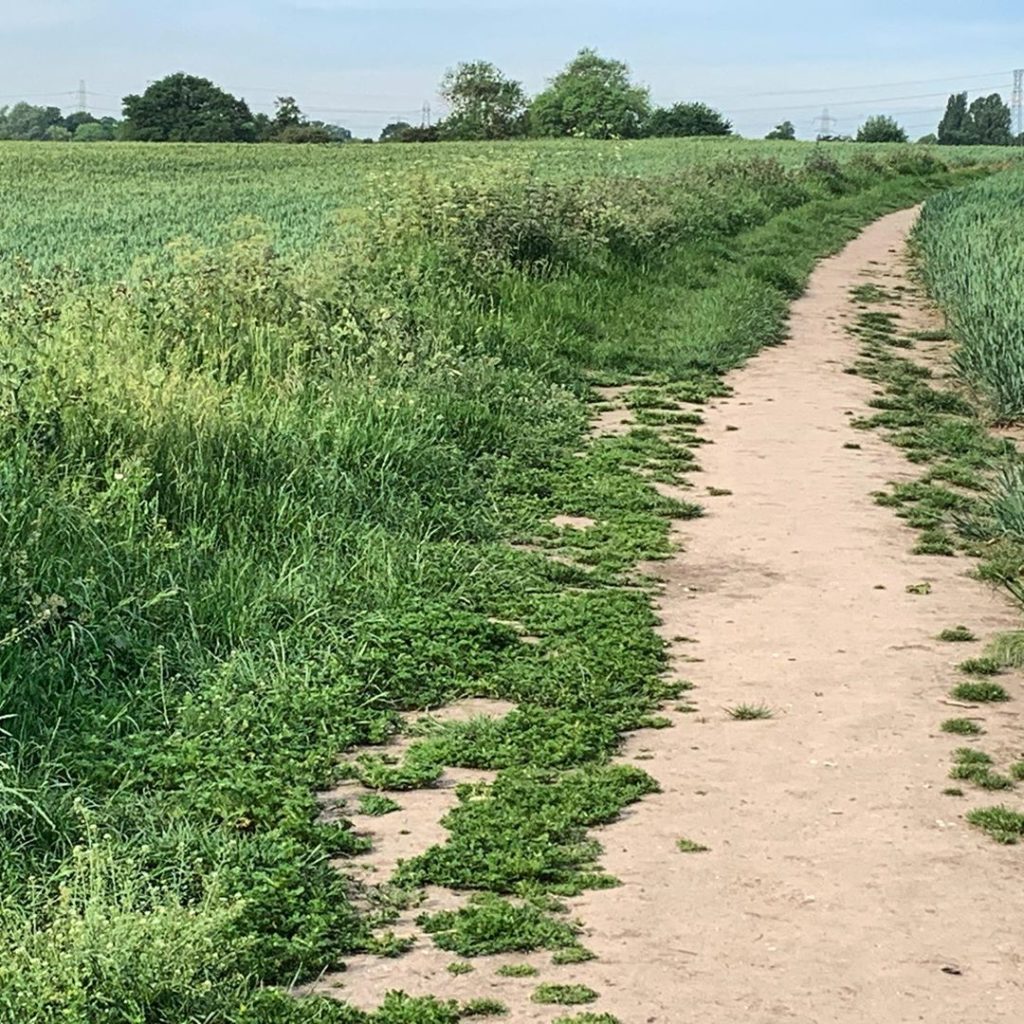 Who am I kidding @perennialgrbs It’s definitely not going to be anywhere as leve...