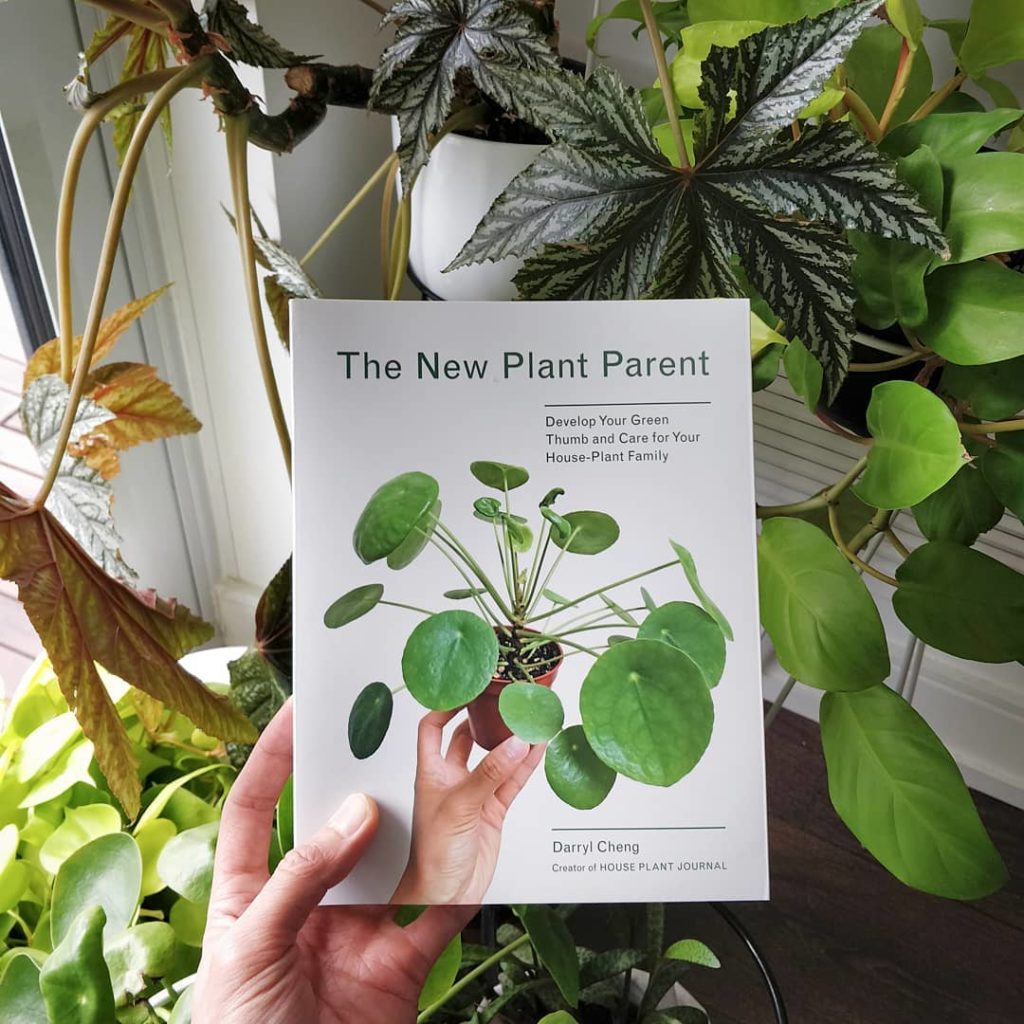 houseplantjournal: In order to make sense of seemingly conflicting houseplant care tips, you need t… In order to make sense of seemingly conflicting houseplant care tips, you need t...