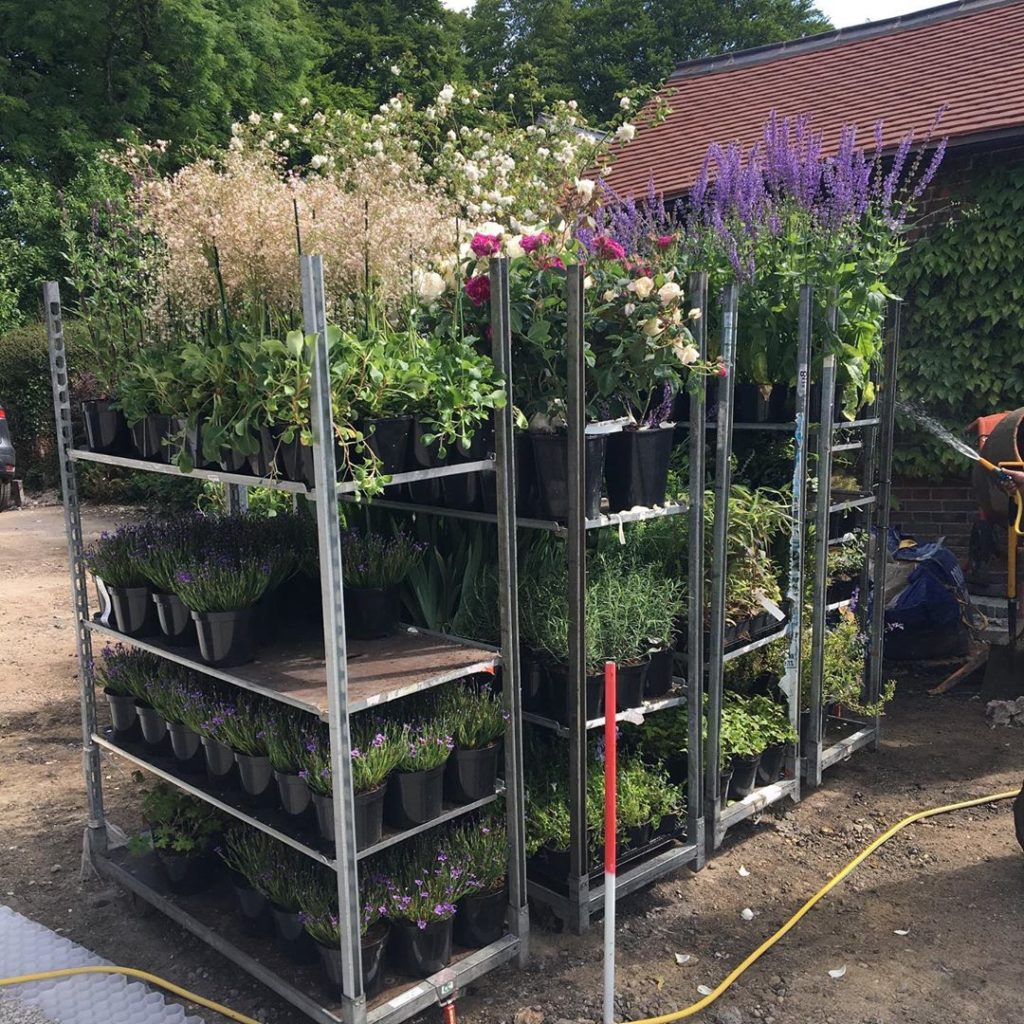 #plants galore #plantingtime #newgarden #countryside #hampshire #charlotterowega...
