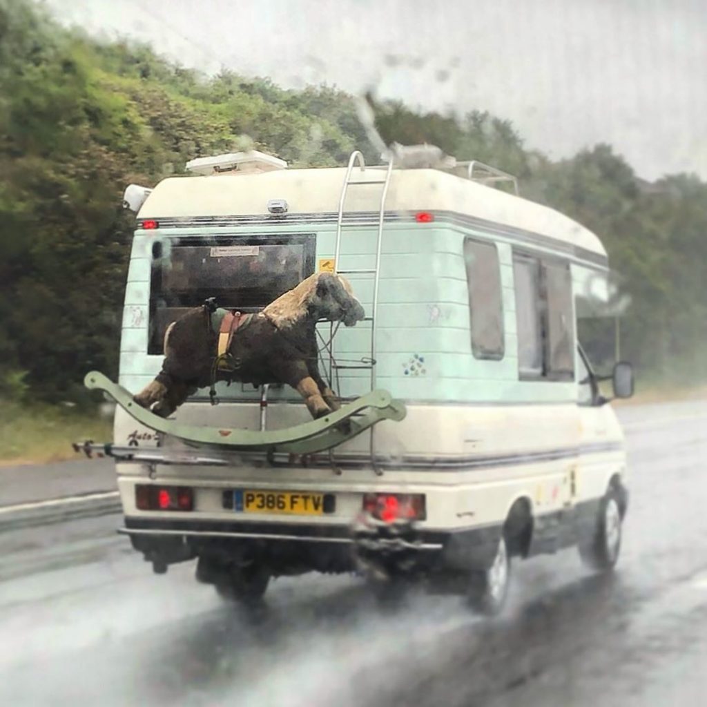 Caption time ... there must be a story here!! ......