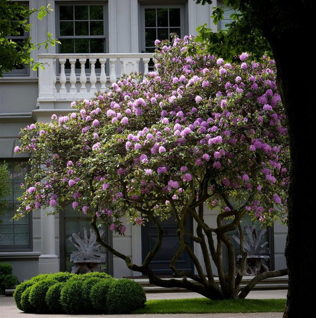 richardmiers: Here’s one I made earlier! I like adding focal points, be they pergolas, seats, … Here’s one I made earlier! I like adding focal points, be they pergolas, seats, ...