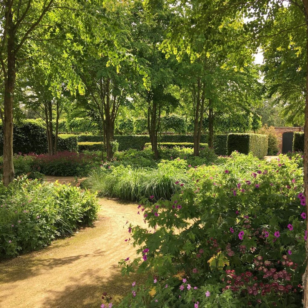 @scampston @pietoudolf #glade of#cercidiphyllumjaponicum and #geranium and table...