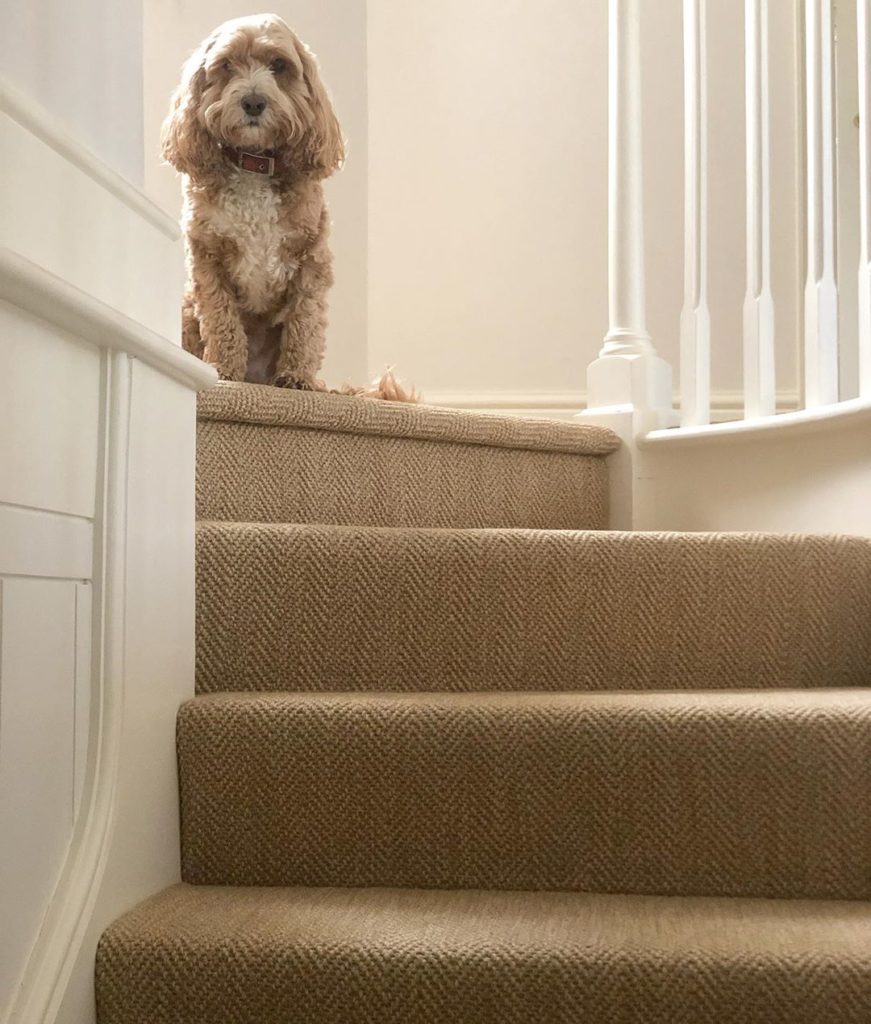 Um...#hello ... #hurryup please - I’m #waiting...