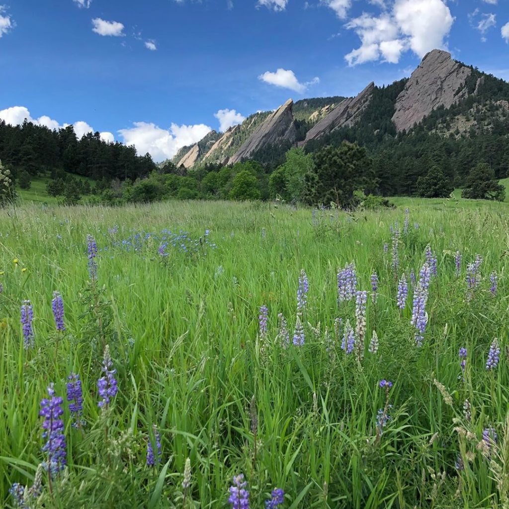 Oh Colorado and your blue skies. @colorado_chautauqua , a special community in B...