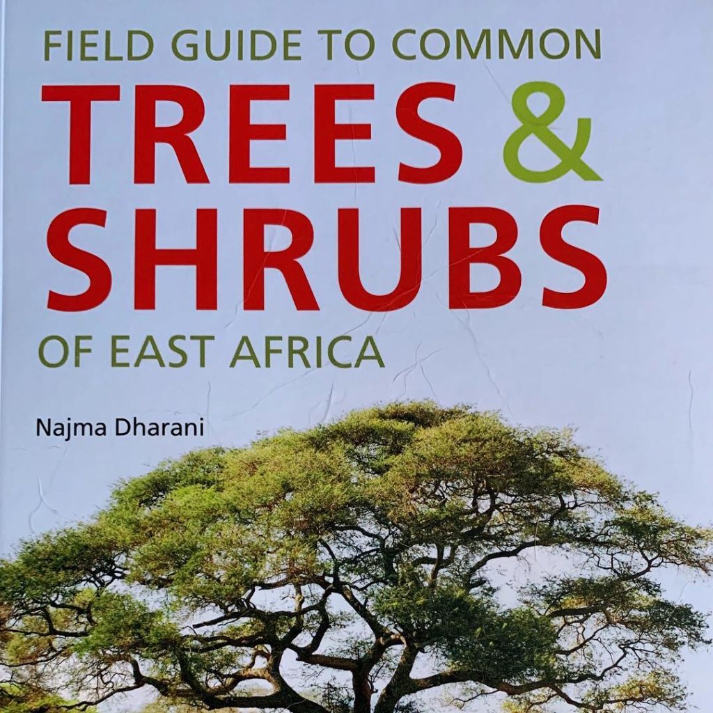 When @knchappers said I should start to prepare in earnest for our Kilimanjaro a...