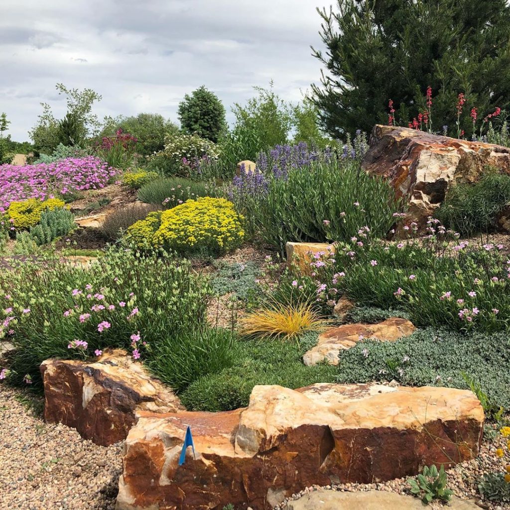 Captivating rock garden at @gardensonspringcreek in #fortcollins I like the sect...