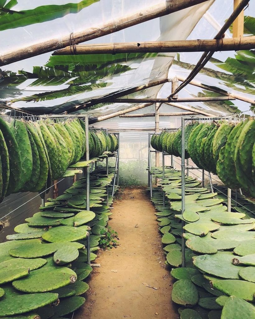 Wishing we could escape to this dye studio in Guatemala right about now. : @thre...