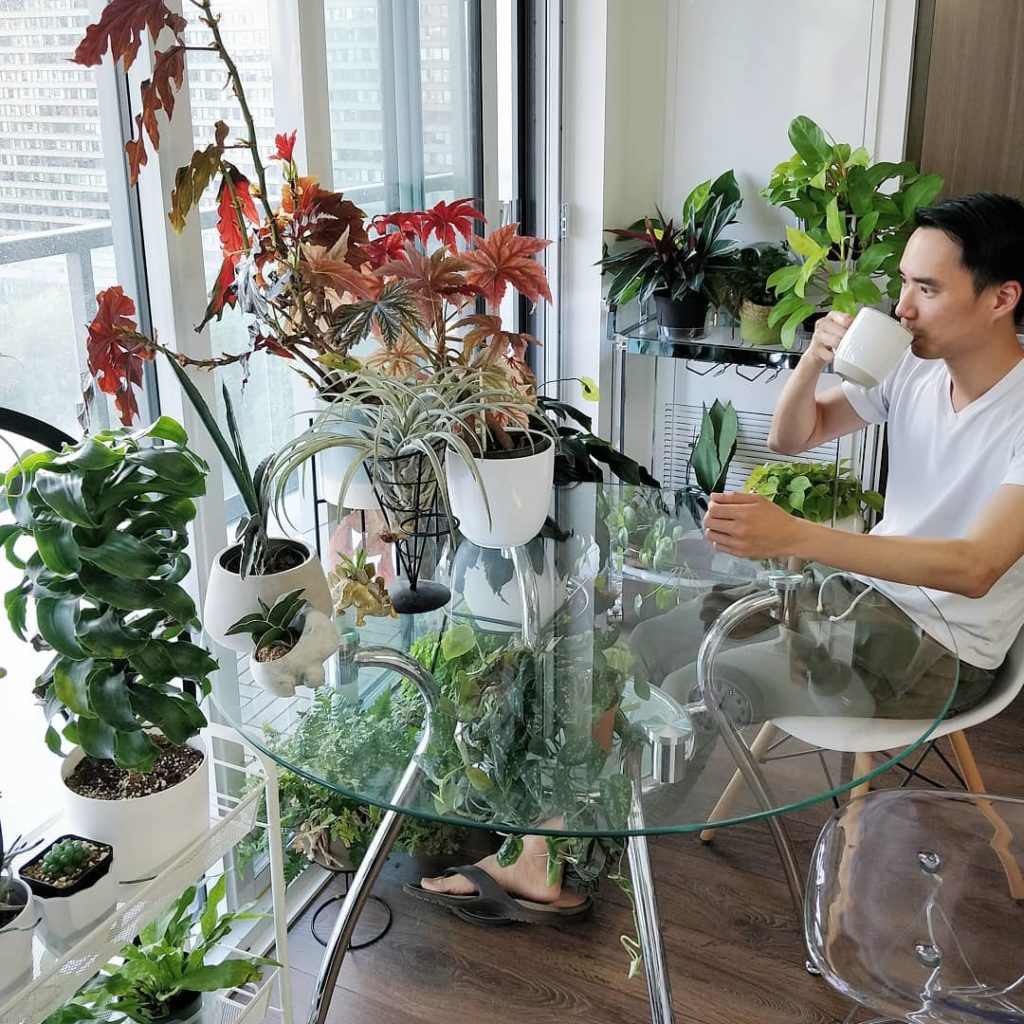 houseplantjournal: June 16 (next Sunday): let me enlighten you on houseplant care at Stackt Market … June 16 (next Sunday): let me enlighten you on houseplant care at Stackt Market ...