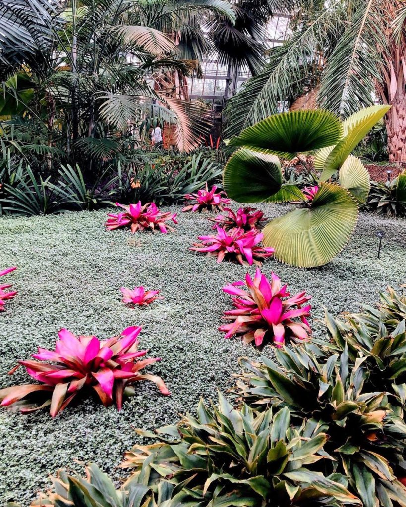 What’s your botanical vibe? Grasses, vines, ferns, succulents, cacti? We are par...