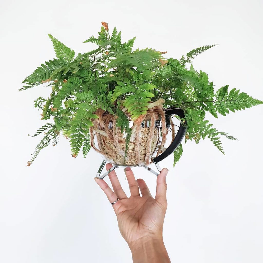 Confused about how to water when there are no drainage holes? Watch and learn (a...