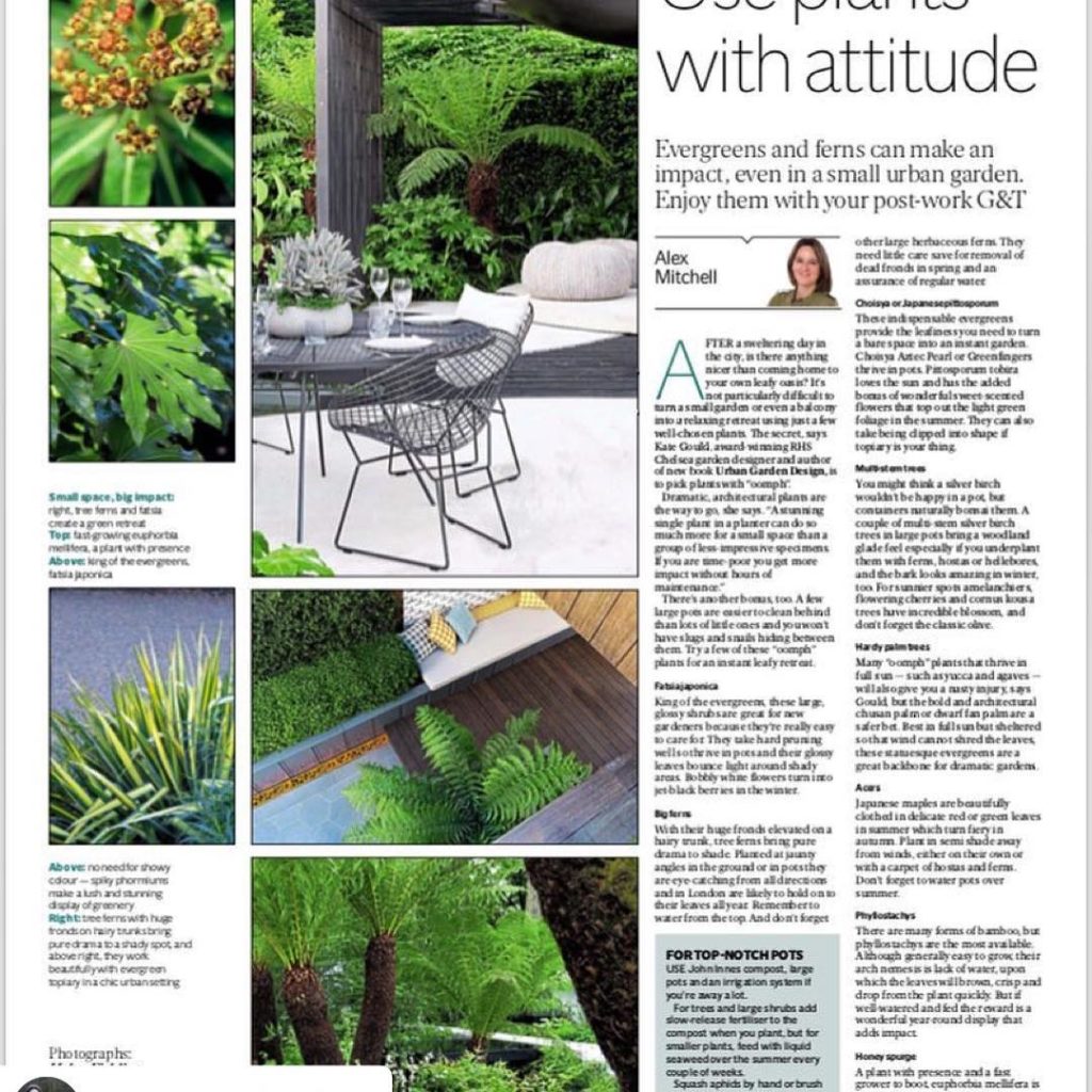 Thank you @alexmitchelleg for such a lovely article and for taking the time to m...