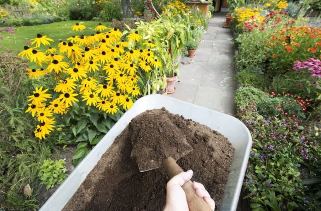 Are your container gardens healthy and well-fed? Plants in containers use up nut...