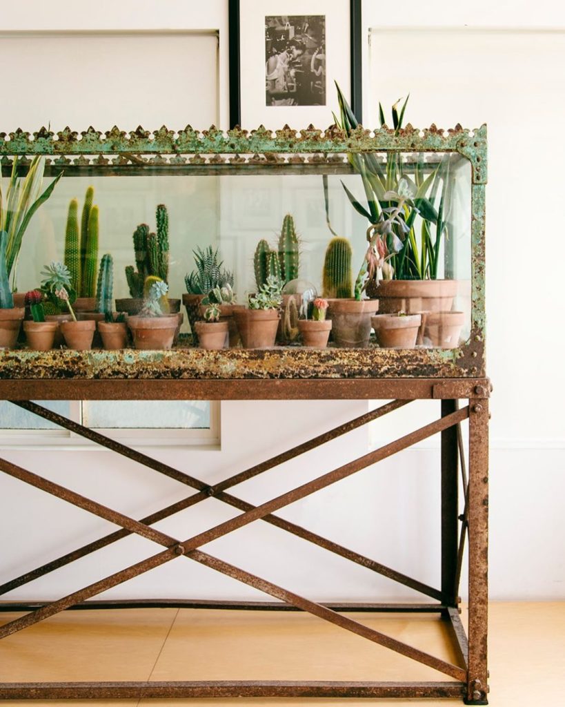 Stroke of genius. When an old aquarium becomes a new terrarium. From the home of...