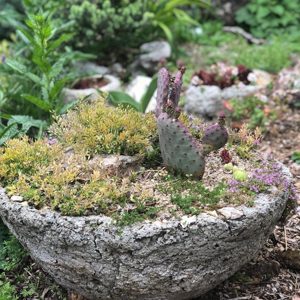 Do try this at home. Hypertufa containers seen at the Jan and Richard Devore gar...