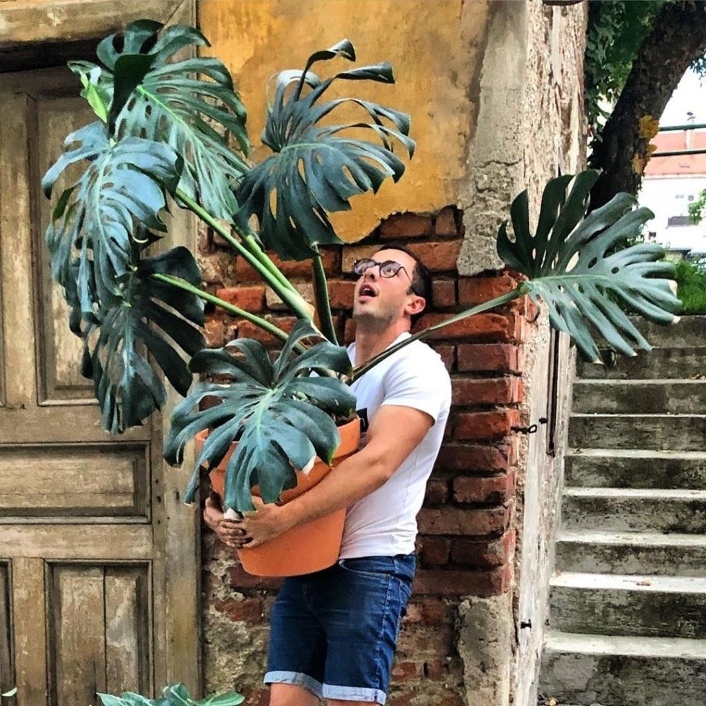 The #FirstDayofSummer is here and we're working hard to make sure our plants are...