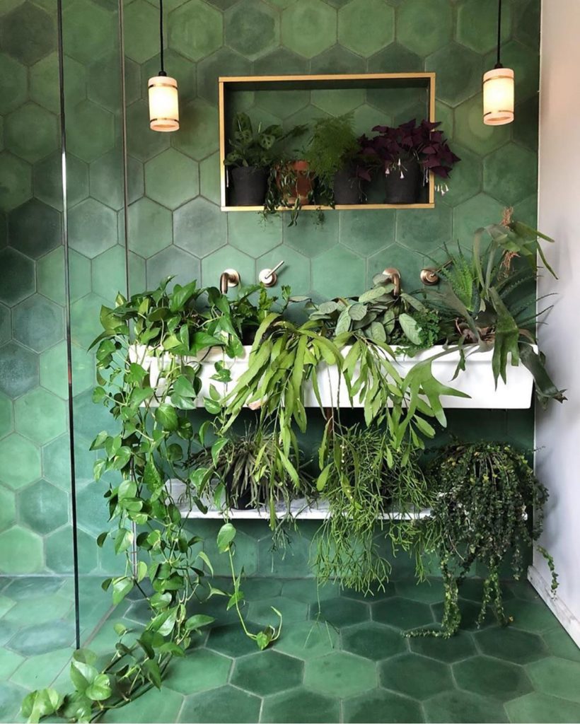 Regram from @theoldpiggery_ because we need to eat our greeeeeeeeens today ...