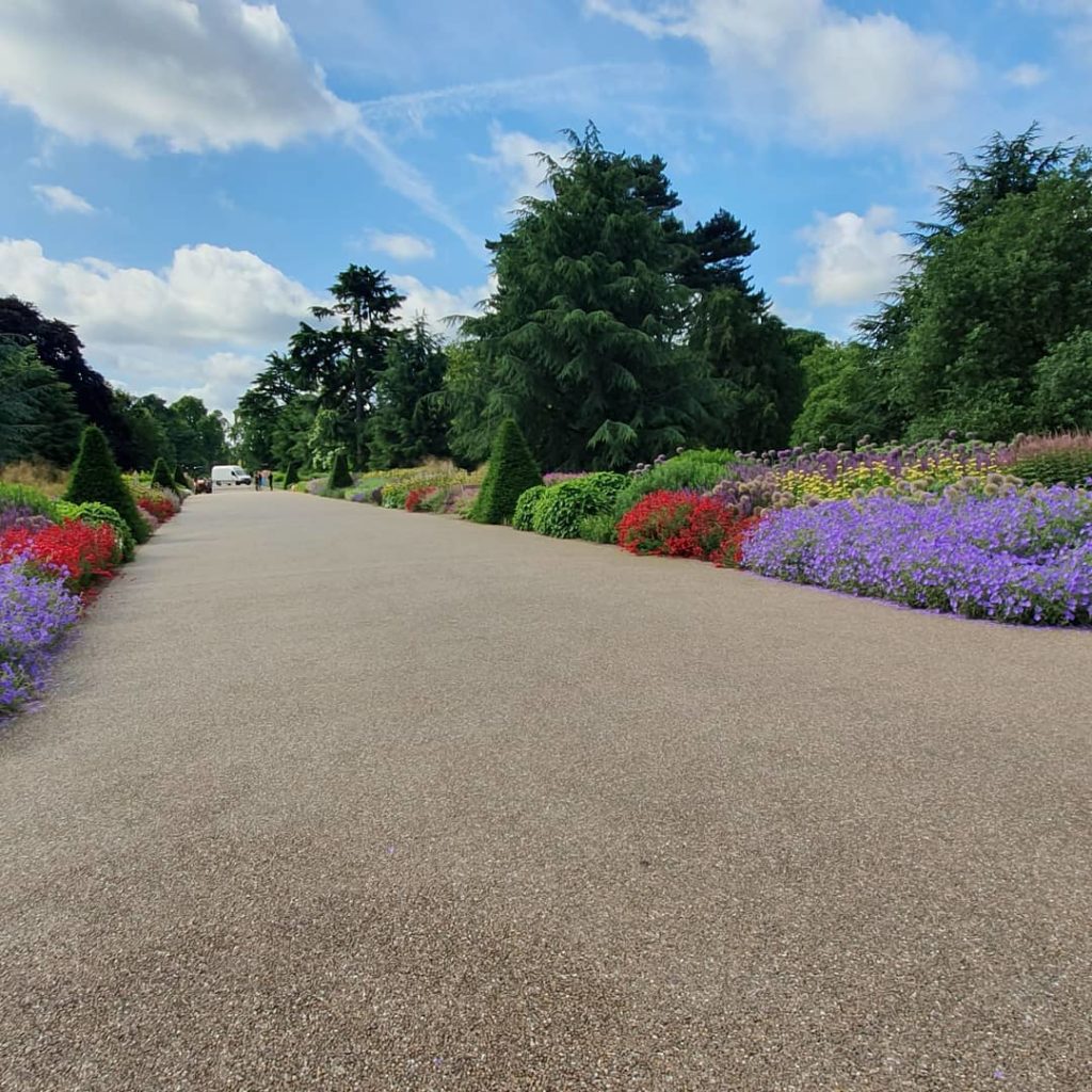 Great day at Kew talking plants #london_school_of_garden_design...