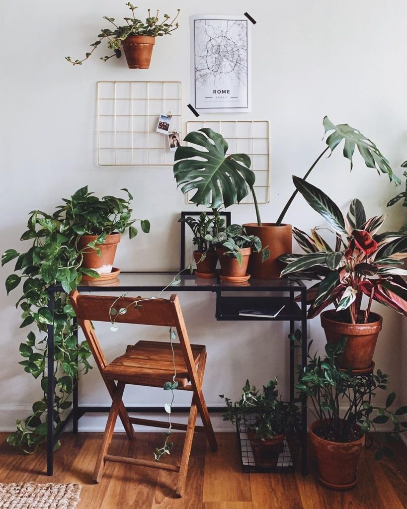 Ideal workspace via @jungleinaroom. ...