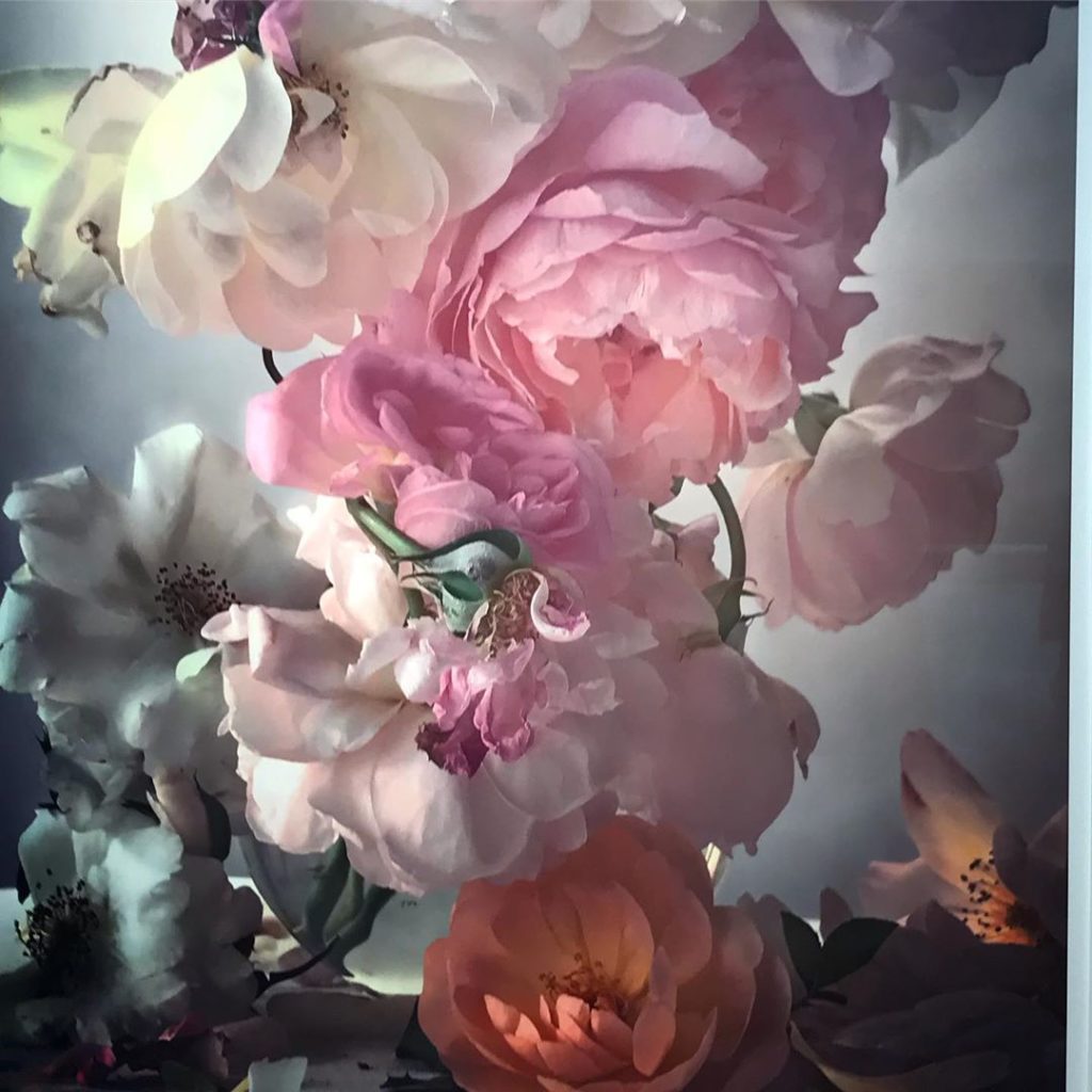 Roses from his garden #exquisite @nick_knight @albionbarn thank you Nick & Charl...