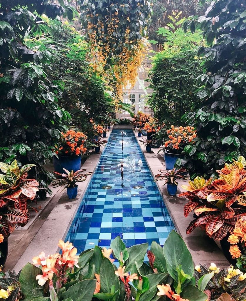 @thymeandtenderness stopped us in our tracks with this beautiful shot of the @us...