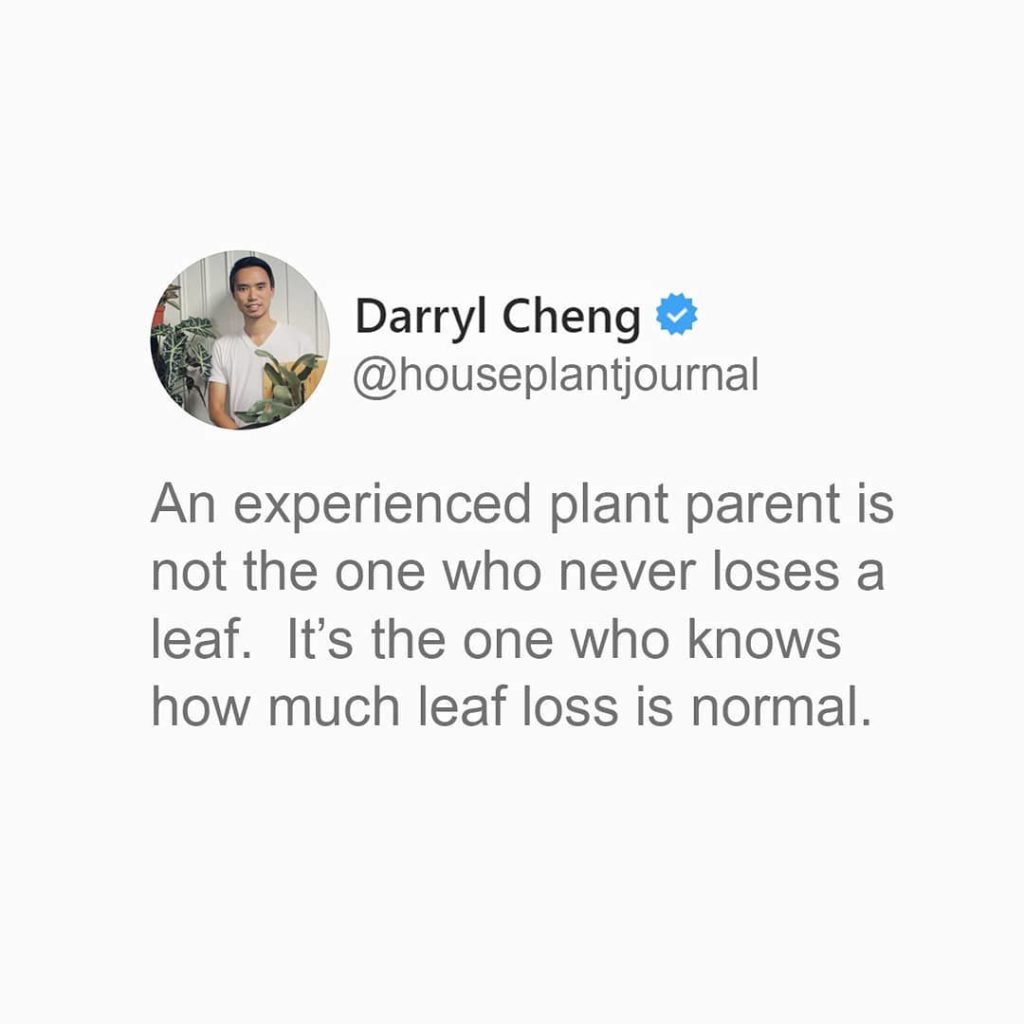 For those who worry too much...2️⃣ Get more of this plant wisdom o...