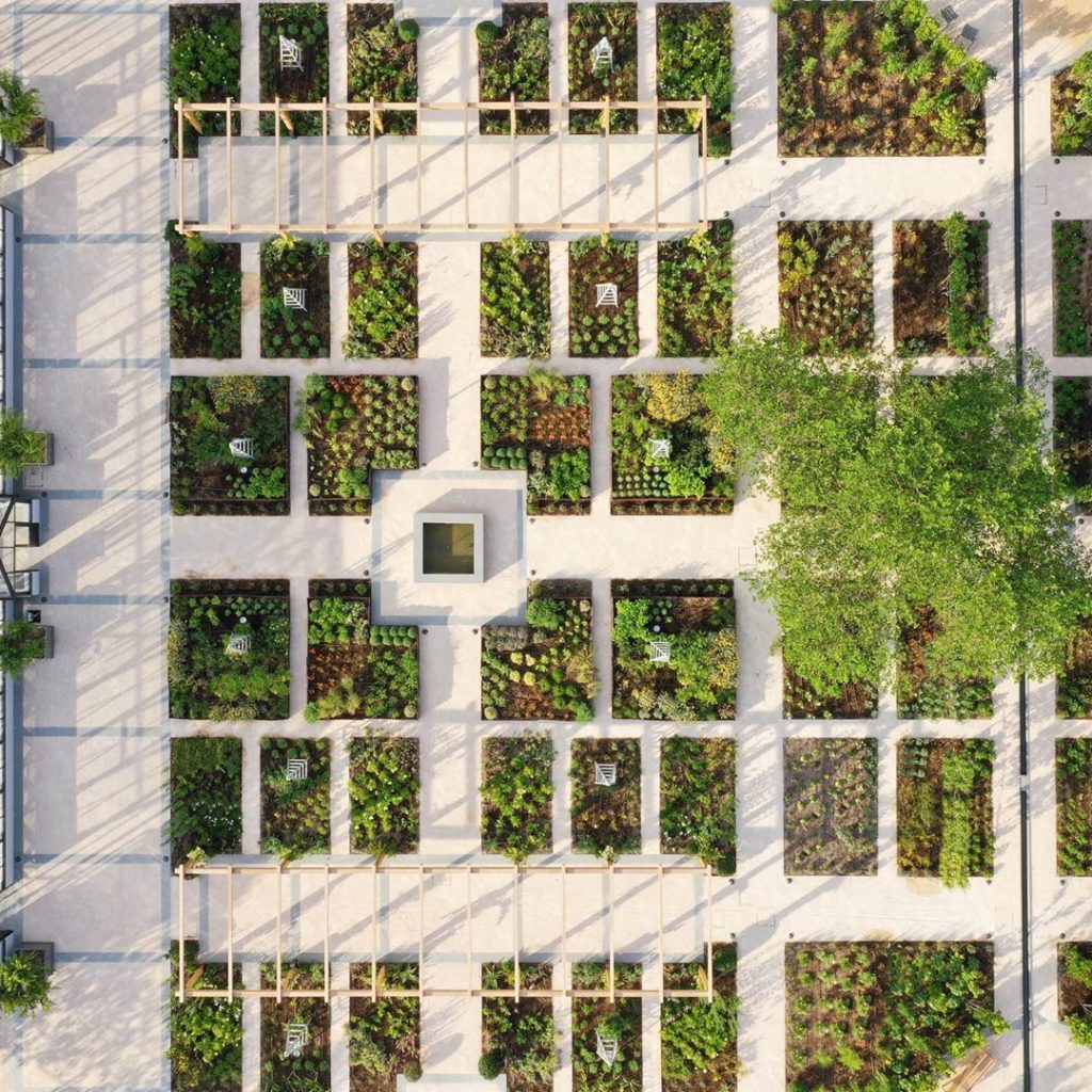 tommasodb: Back to base after a momentous 10 days that saw the official launch of the ‘orto… Back to base after a momentous 10 days that saw the official launch of the ‘orto...