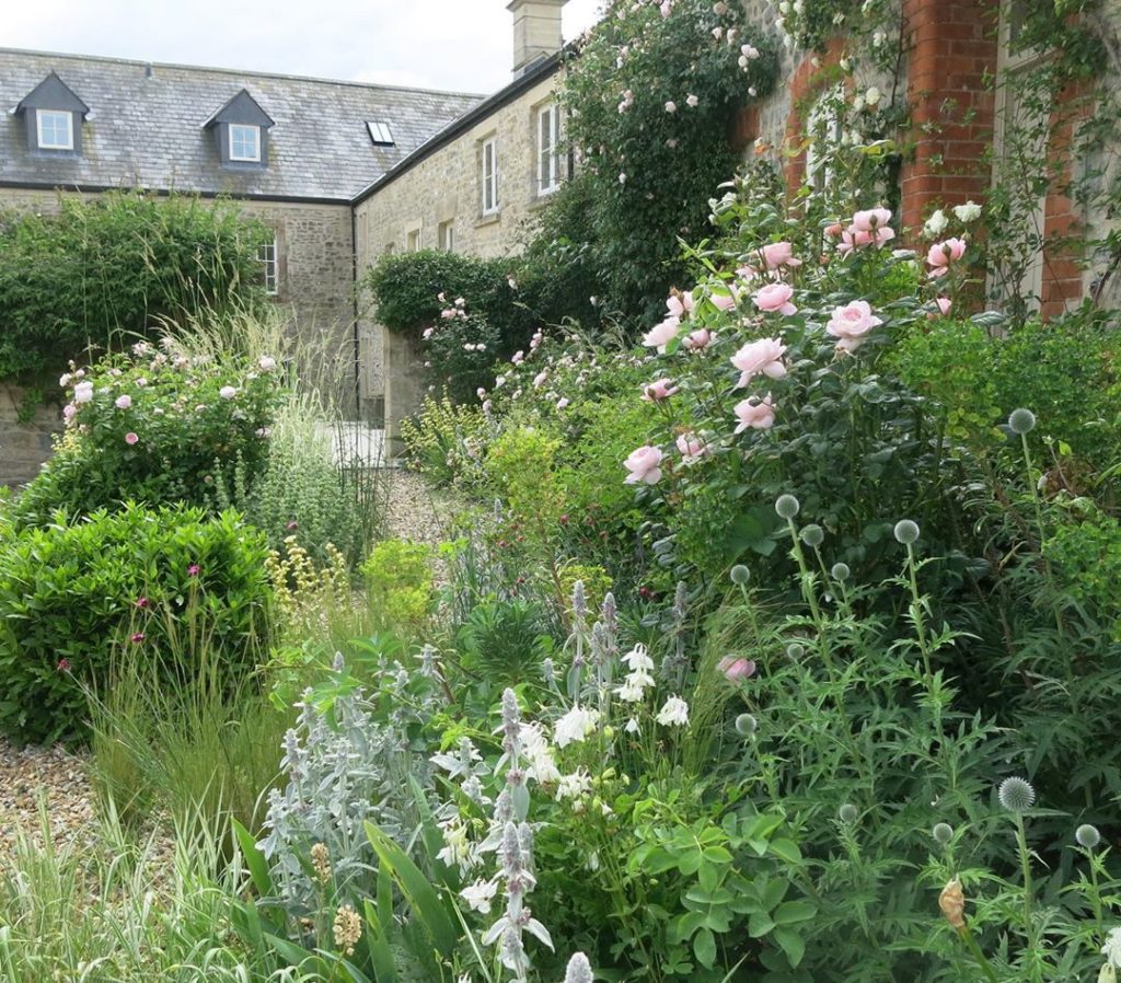 Where did #summer go? This garden down in #somerset normally looks like this in ...