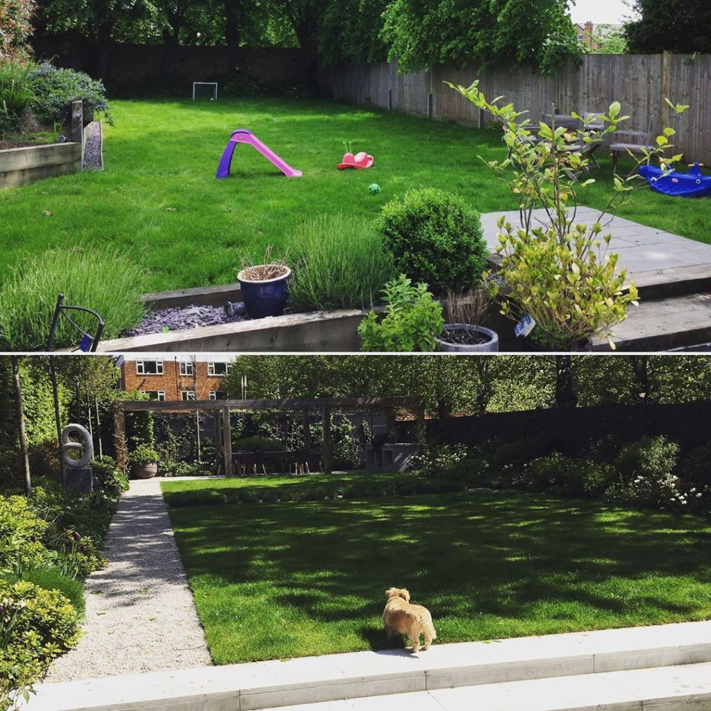 #beforeandafter #oneyearon #garden #transformation #charlotterowegardendesign...