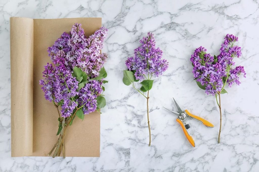 Now is a great time to give your plants a light pruning (and make bouquets out o...