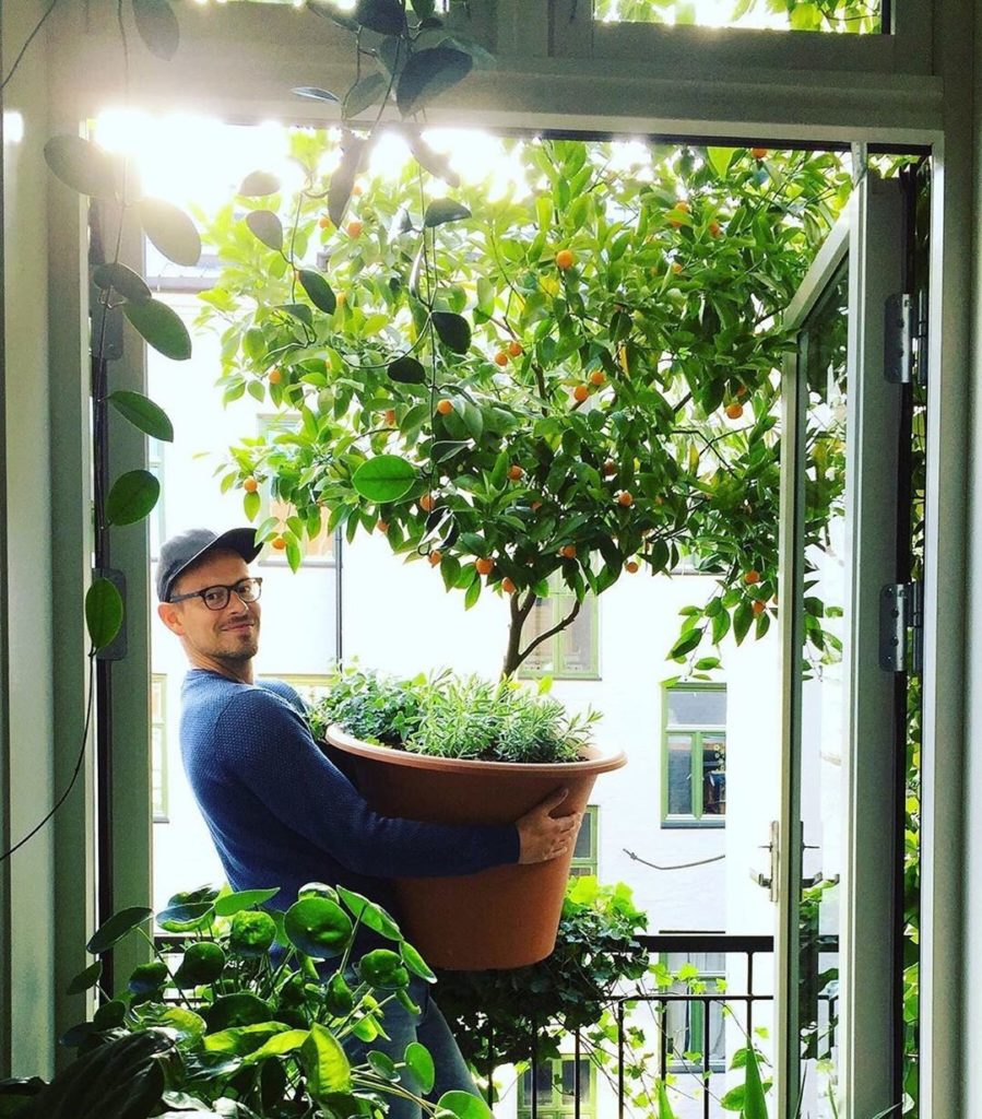 Just a little #plantdad appreciation.  Photos by @arcticgardener, @zznelsonzz vi...