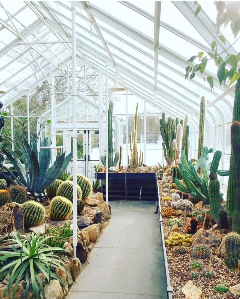 thejungalow: Botanical gardens provide endless design inspiration for us here at #jungalow, a… Botanical gardens provide endless design inspiration for us here at #jungalow, a...