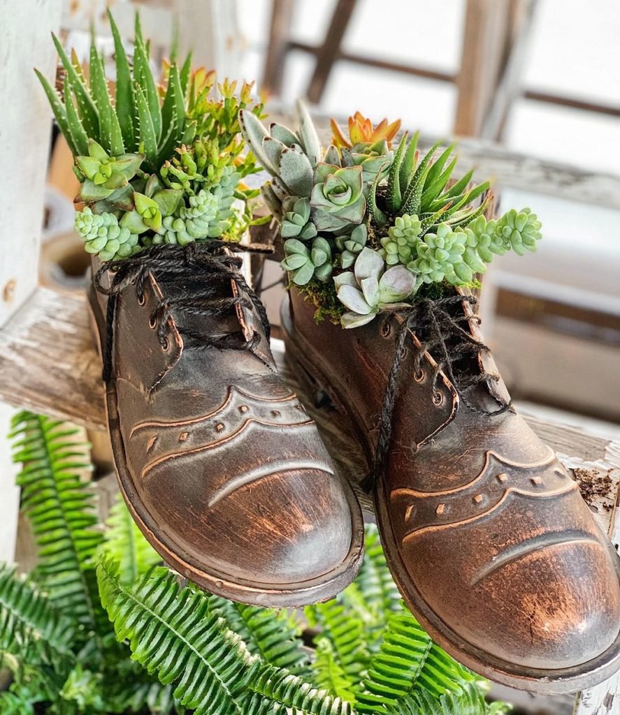 Happy Father's Day!
.
.
How great is this succulent display from tpshomeandgarde...