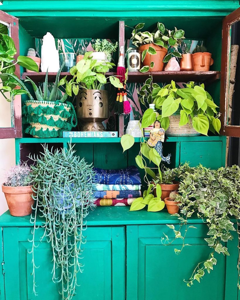 thejungalow: Plants, or ‘planties’ as we like to call them, are an essential ingredient to cr… Plants, or 'planties' as we like to call them, are an essential ingredient to cr...