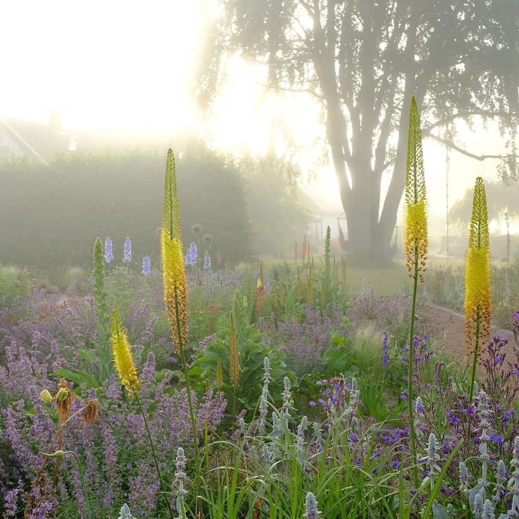 Great visit to Peter Korn and @Julia Andersson's Garden and Nursery...