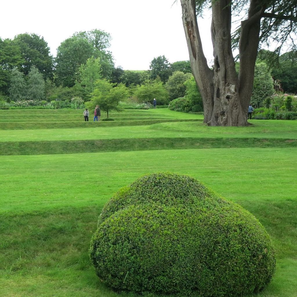 Love this #buxus #rock set into #terraces if #mowngrass #cedar #somerset #valley...