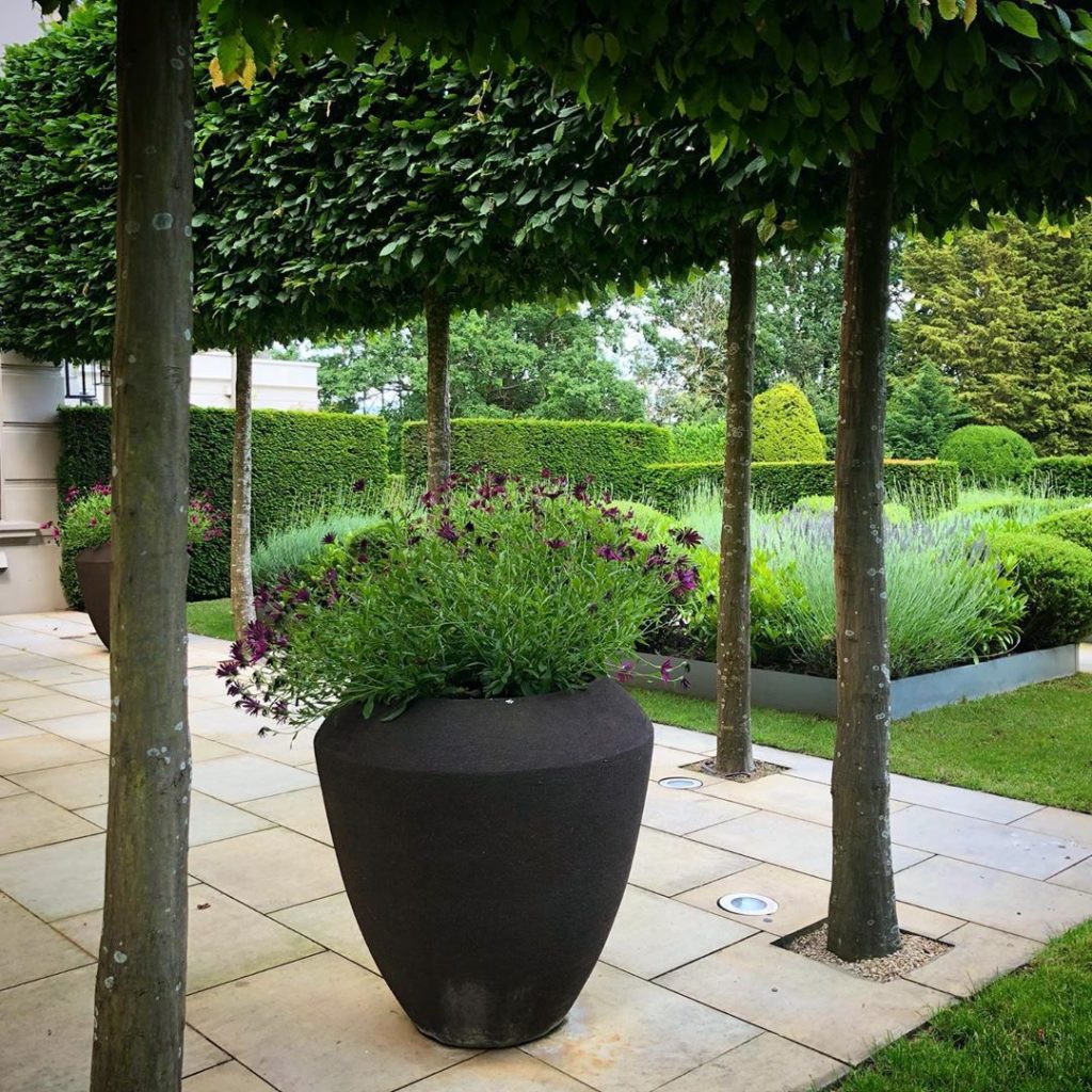 Back in Surrey and the garden I designed and had built a few years ago. Here’s t...