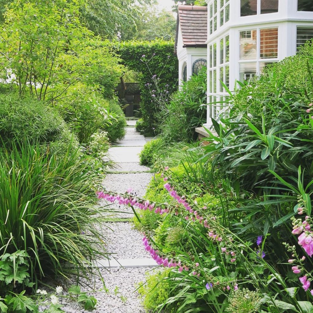 #summer in #london #longview #gardendesign #towngarden #greeningthecity #charlot...