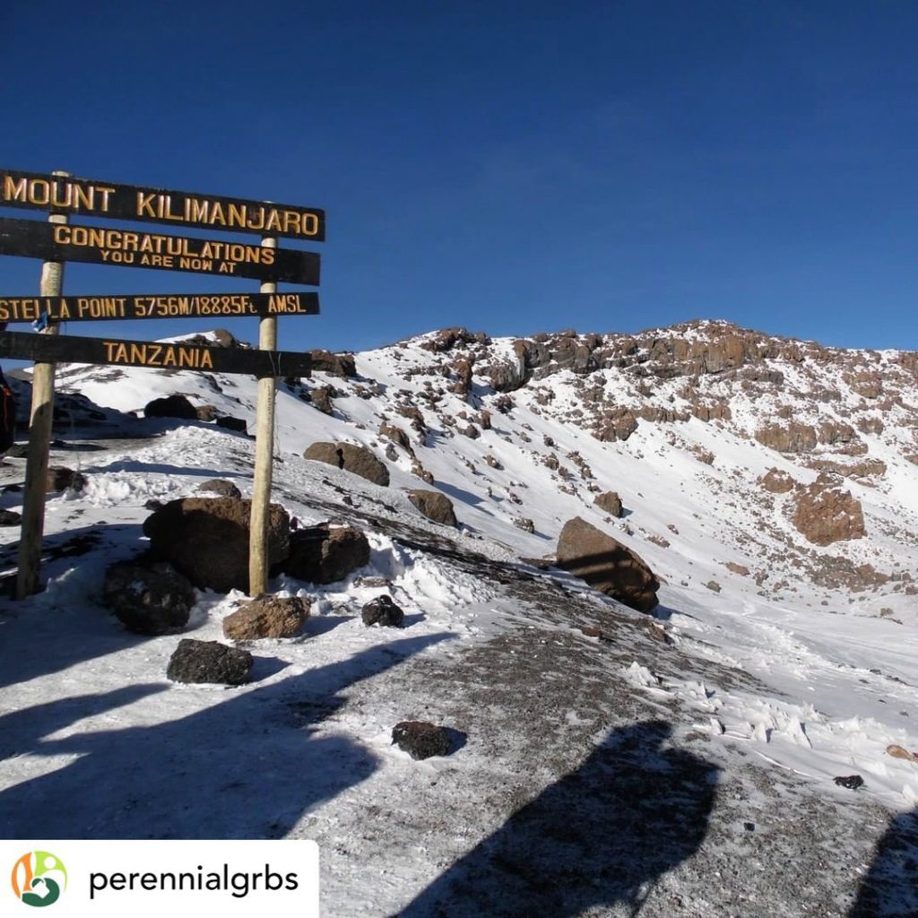 PLEASE please help us hit our fundraising target - our deadline is in TEN days a...