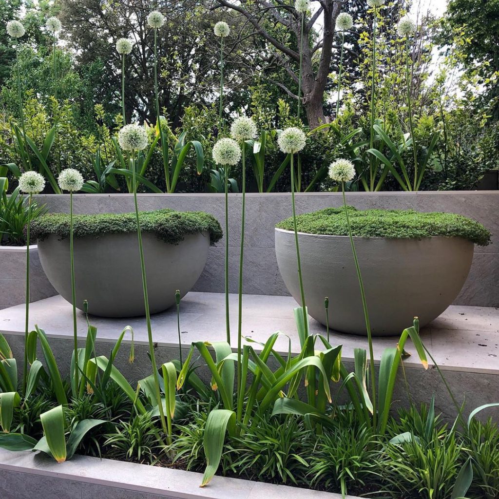 #gardendesign #landscapedesign #urbisdesign #londongardens #landscapephotography...