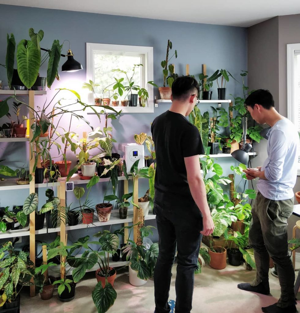 Got to visit the rare plant collection of @urban_greenroom - I'll be posting a f...