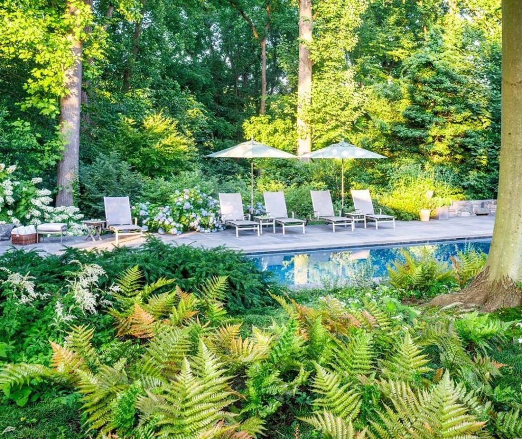 gardendesignmag: Come over a for a dip?
.
An understory of crape myrtles and hydrangeas was plant… Come over a for a dip?
.
An understory of crape myrtles and hydrangeas was plant...