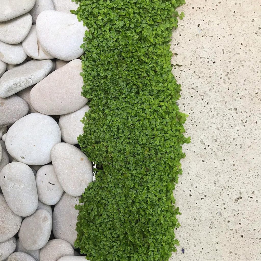 The spaces inbetween #designdetail from a recently completed London garden #mind...