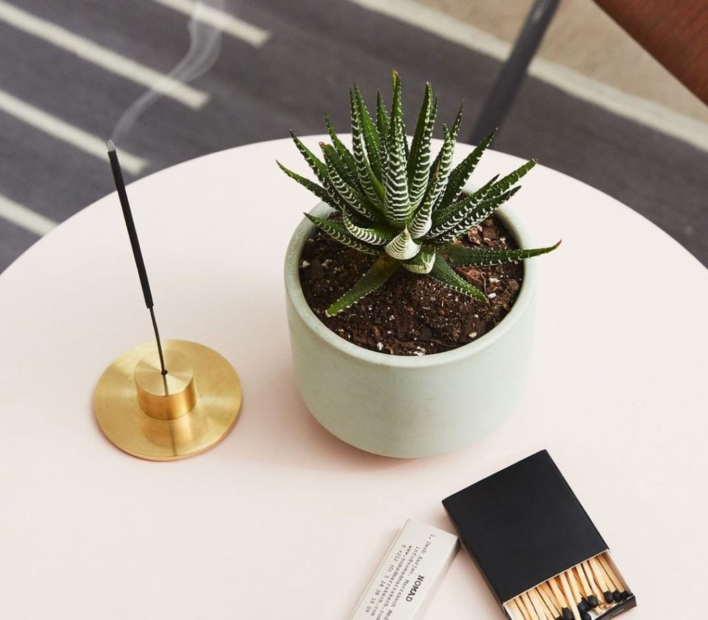 There's no better way to elevate your space and find your zen than by adding a n...