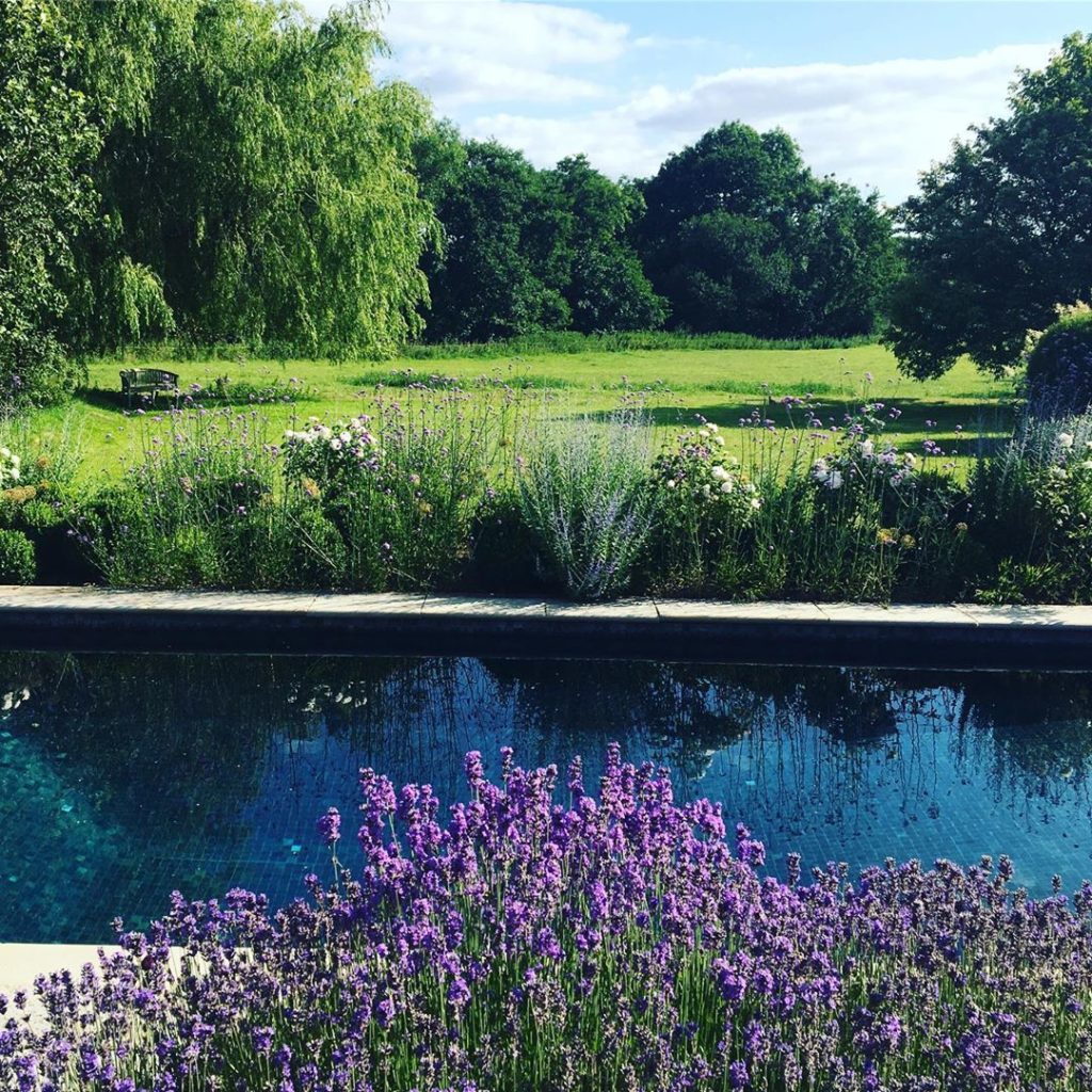 #lavender set off against deep blue #swimmingpool #countryside #landscapedesign ...