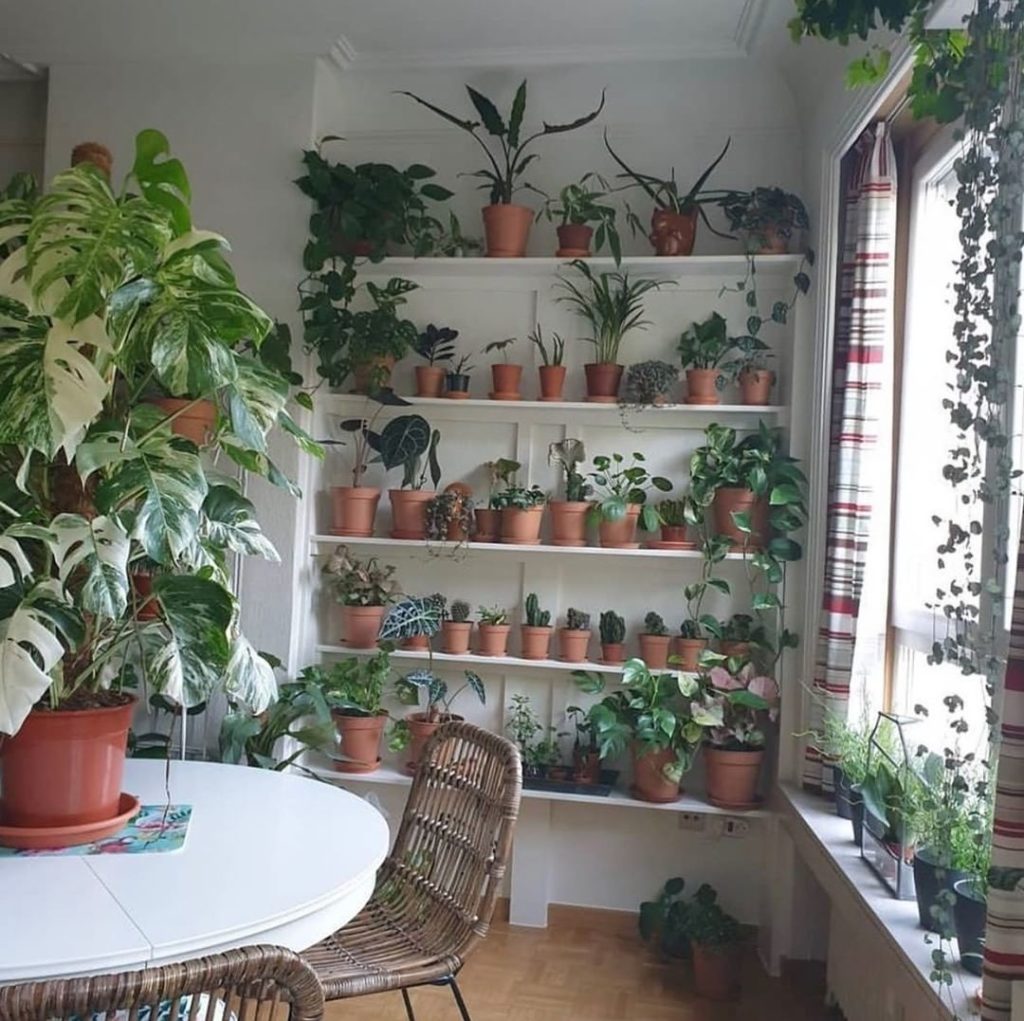 This terracotta #shelfie is everything. Photo by @plantlovingbookworm via @flaun...