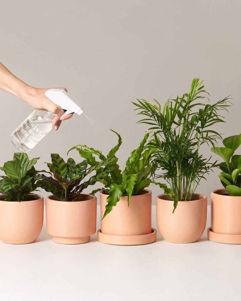 You want plants? We've got a subscription for that. Choose from pet-friendly pla...