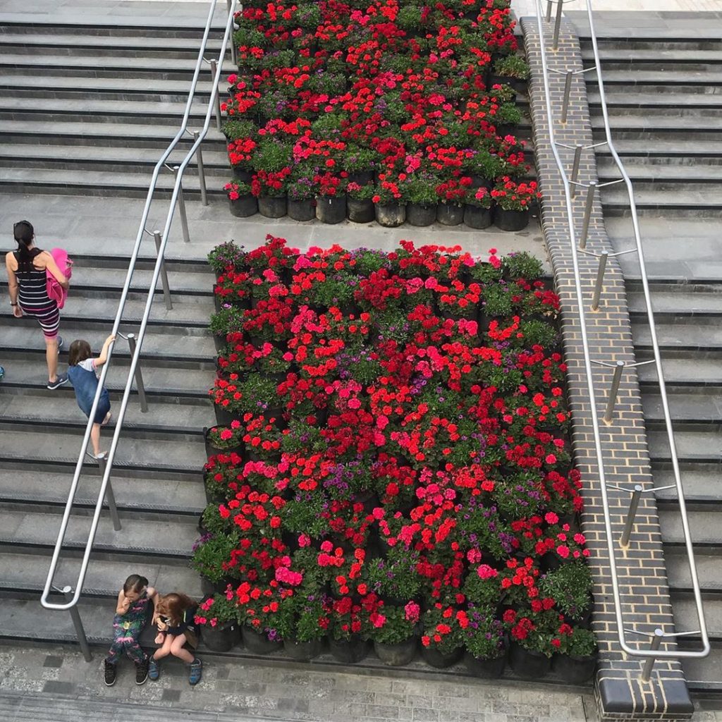 Red carpet moment #colourstream #coaldropsyard #danpearson @coyotewillow #red #g...